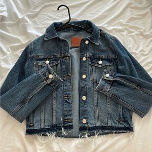 Anine bing denim jacket